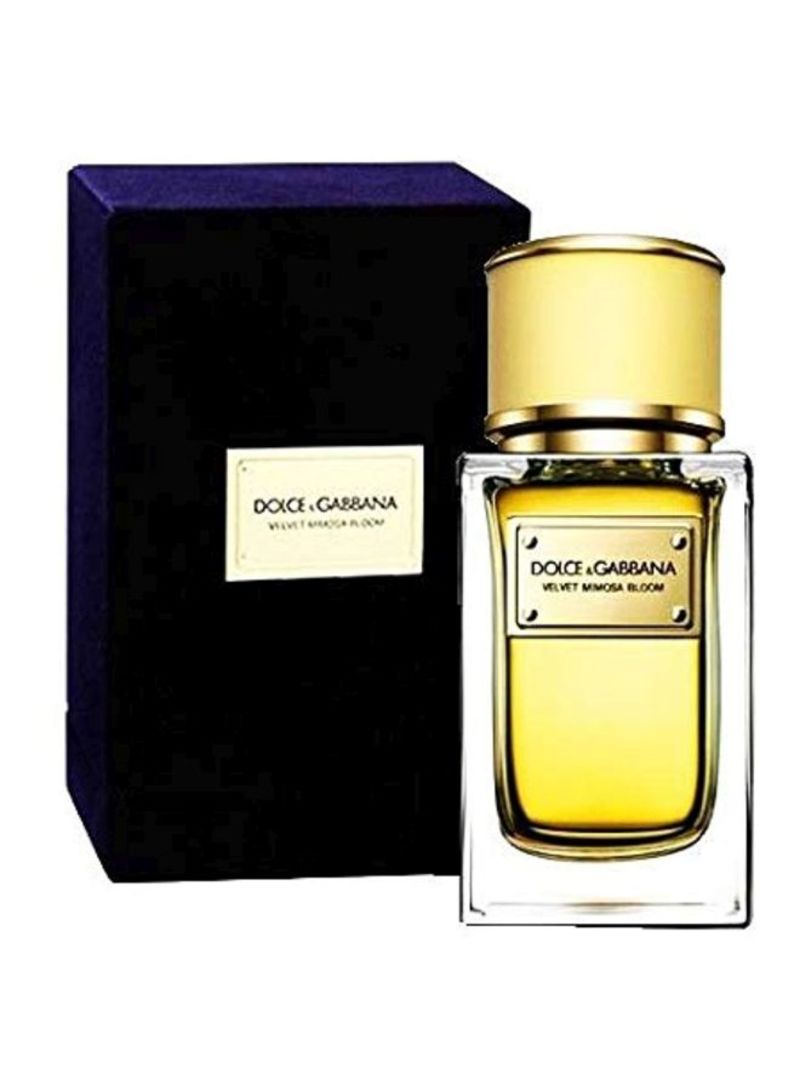 DOLCE & GABBANA VELVET MIMOSA BLOOM (W) EDP 50ML